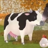 ErikTTBR17